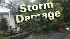 storm_damage